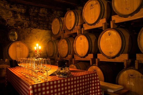 Wine tasting. Hvar Island, Croatia