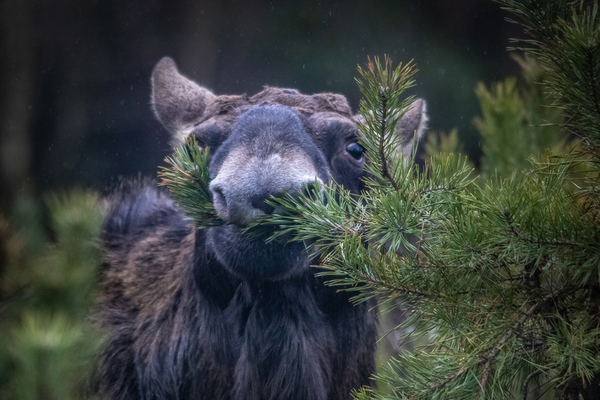 Photo: Małgorzata Pawelczyk