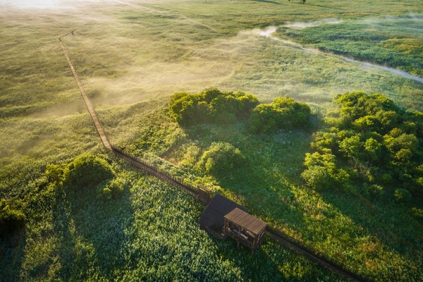 Photo: Maciej Nowakowski