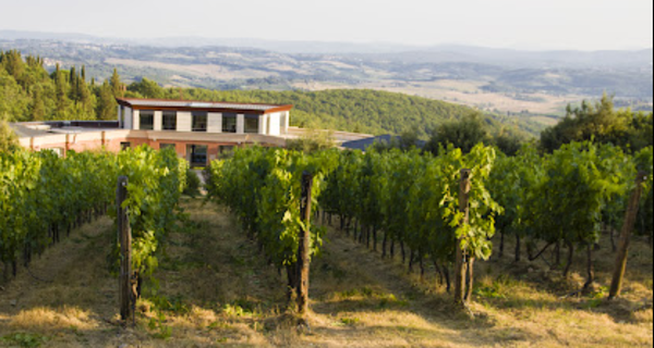 Marchesi Mazzei Cellar