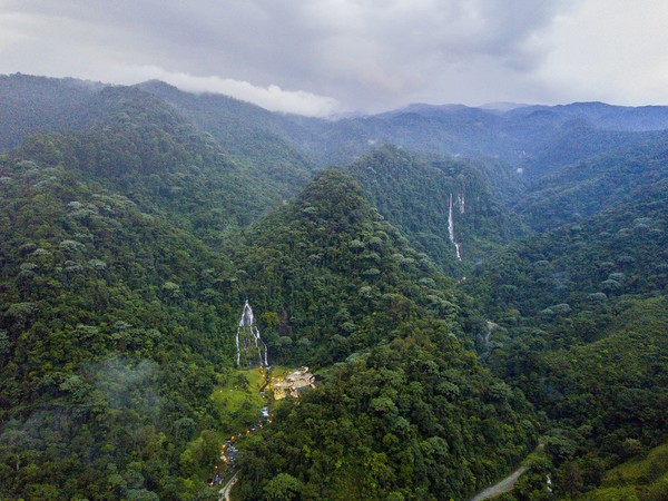 커피문화경관_출처_프로콜롬비아