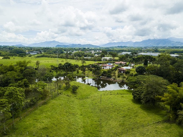커피문화경관_출처_프로콜롬비아
