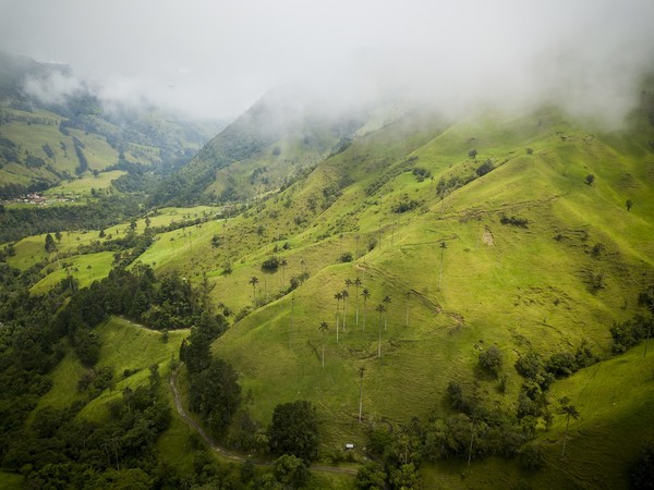 커피문화경관_출처_프로콜롬비아