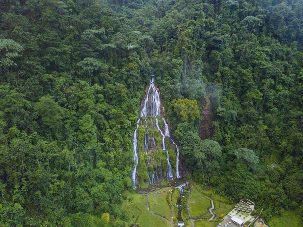 커피문화경관_출처_프로콜롬비아