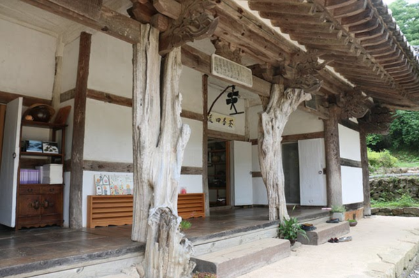 구층암 모과나무 기둥