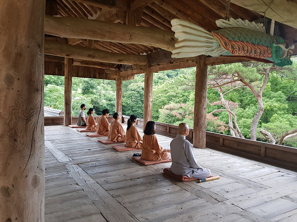 만세루에서 템플스테이 명상