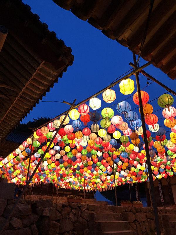 초파일 전야제 연등 풍경