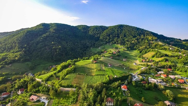 zagorje-vinogradi--ivo-biocina