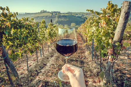 A glass of Sagrantino di Montefalco in the vineyards