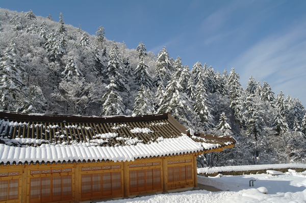 폭설 후 맑은 하늘과 정암사