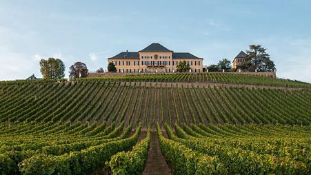 Riesling vineyards at Schloss Johannisberg, Rheingau, Germany.Image: Martin Kraft (photo.martinkraft.com). CC BY-SA 4.0. via Wikimedia Commons.