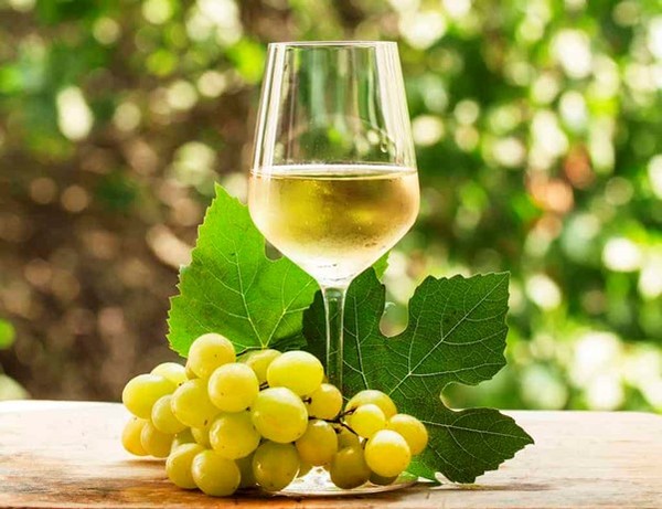 Riesling. From the grape to the glass (vinovest.coblogRiesling)