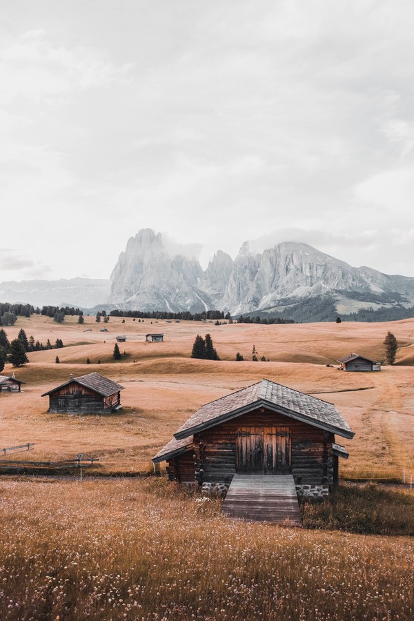 Alpe di Siusi, Bolzano, Trentino Alto Adige. photo by Michele Mescolin
