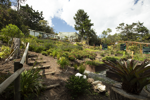 ParqueArvi-Sinpersonas-ProColombia