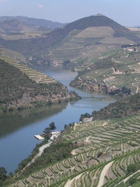 Port wine vineyards along the Douro River. Portugal. Photo Wikimedia Commons