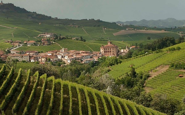 The village of Barolo, its Castle and Nebbiolo grapes vineyards. Langhe hills. Piemonte region, Italy.Photo Credit: www.paesaggivitivinicoliunesco.it