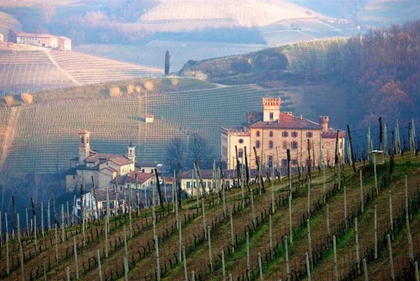 The village of Barolo, its Castle and Nebbiolo grapes vineyards. Langhe hills. Piemonte region, Italy.Photo Credit: www.paolabertoletti.com