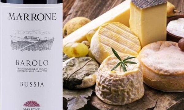 Aged cheeses paired with Barolo. Photo Credit: www.italysfinestwines.it