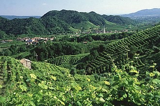 The Prosecco Hills of Conegliano and Valdobbiàdene. UNESCO World Heritage Site since 2019. Photo Credits Alberto Davide Lorenzi, via Wikimedia Commons.