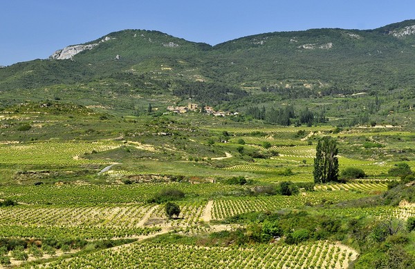 La Rioja landscape with vineyards. Photo Credit LBM1948 via wikimedia commons.