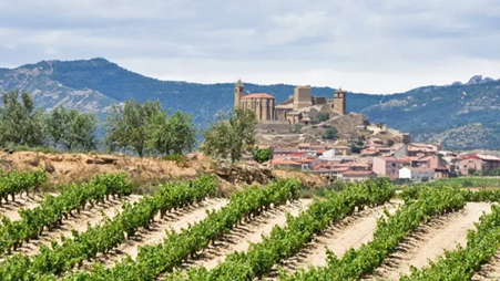Tempranillo vineyards nearby the village of San Viciente de la Soncierra. La Rioja region. Photo Credits www.winedharma.com