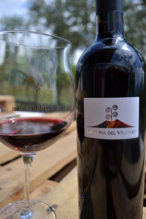 Lacryma Christi red wine from Cantina del Vesuvio (Vesuvio Winery), Napoli, Italy.Photo Credits: www.lucianopignataro.it (wine blog)