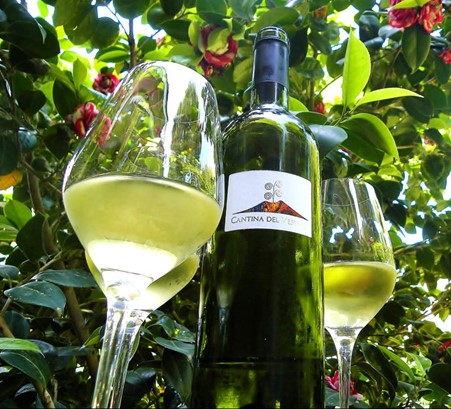 Lacryma Christi white wine from Cantina del Vesuvio Winery. Photo Credits: Sara Marte, via www.lucianopignataro.it