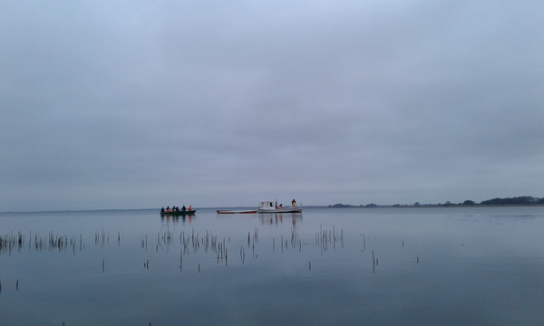 Ł. Fuglewicz. Połów ryb na Jeziorze Gardno 