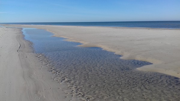 Ł. Fuglewicz. Laguna