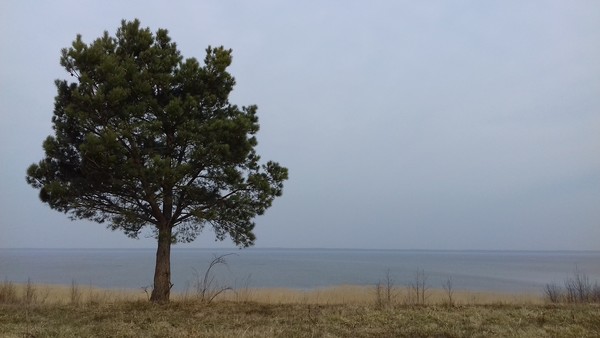 Ł. Fuglewicz. Skarpa nad brzegiem jeziora. Słowiński Park Narodowy