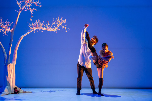 왕라미레즈컴퍼니 We Are Monchichi c. Fred Fouché