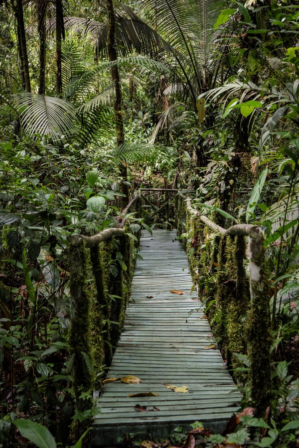 Otún_Santuario_de_Fauana_y_Flora_Foto Andrés Romero
