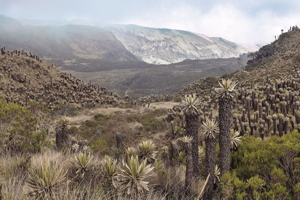Murillo_Parque_Nevado_del_Ruiz_Foto Carmen Villegas
