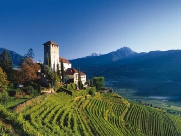 Vineyards in Trentino-Alto Adige close to an ancient castle. Photo Credits: www.winepoint.it