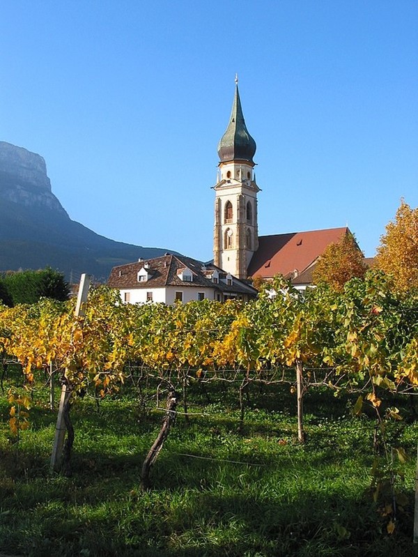 Vineyards in the town of Appiano sulla Strada del Vino / Eppan an der Weinstraße, a few kilometers from Bolzano. Photo Credits: Dani7C3, www.wikipedia.org