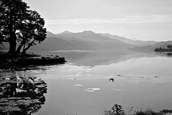 손관중, 두물머리 50.0mm F5.6 1/1600s ISO100