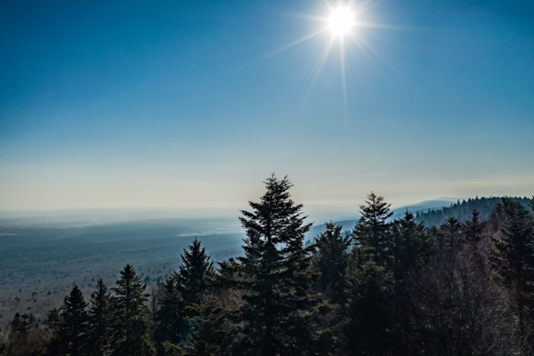 Świętokrzyskie Mountains. - photo by Sławek Rakowski