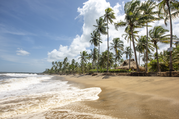 Guajira_palomino Foto Lorena Velasco