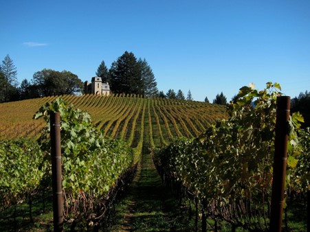 Vineyards and Chateau (winery) in Napa Valley. California, USA. Photo Credits: Almonroth, via www.wikipedia.org