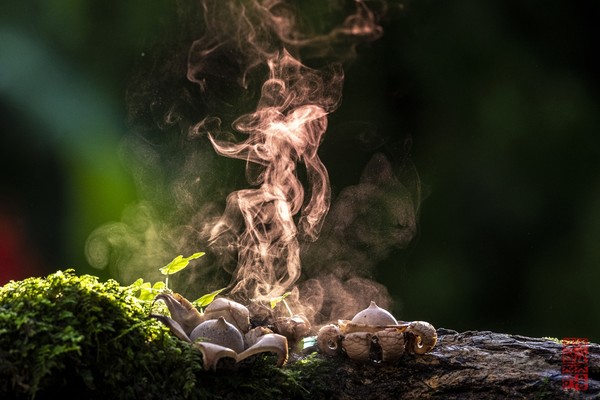 조용철 - 바람에 스쳐간 사랑