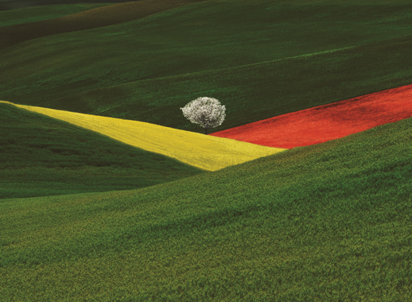 FRANCO FONTANA© PUGLIA 1995 paesaggio immaginario mmg
