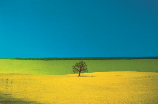 FRANCO FONTANA© PUGLIA 1987 EWS