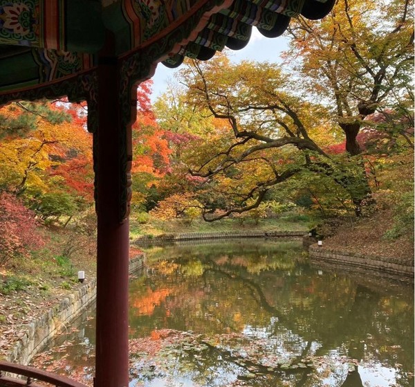 창덕궁 관람정 전경