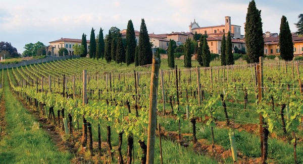 ​Franciacorta vineyards. Lombardy region – Italy. Photo Credits www.baroloeco.it​
