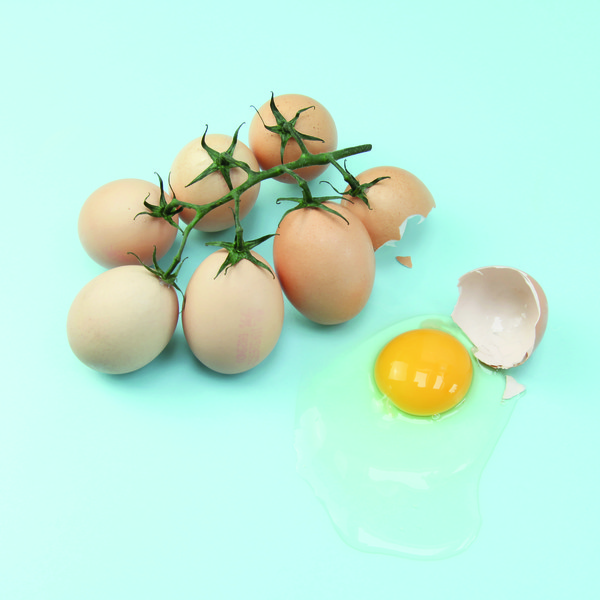 ⓒ Helga Stentzel/ CCOC 2022