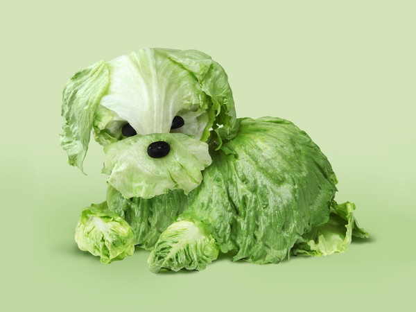 ⓒ Helga Stentzel/ CCOC 2022