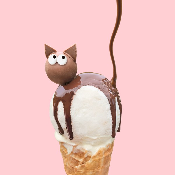 Choco Cat ⓒ Helga Stentzel / CCOC 2022