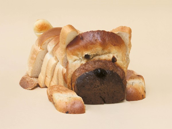 Brad Pet ⓒ Helga Stentzel / CCOC 2022