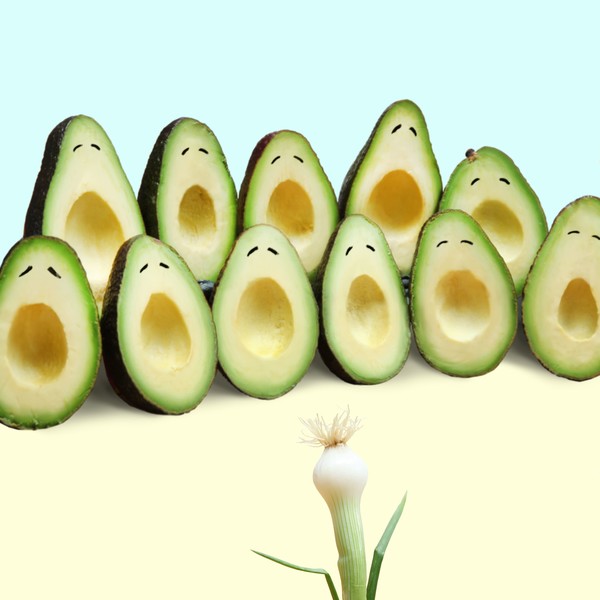 Avocado Choir, 2018 ⓒ Helga Stentzel / CCOC 2022