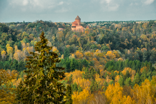turaidas-pils-zelta-ruden-ar-egli--turaida-castle-gauja-national-park